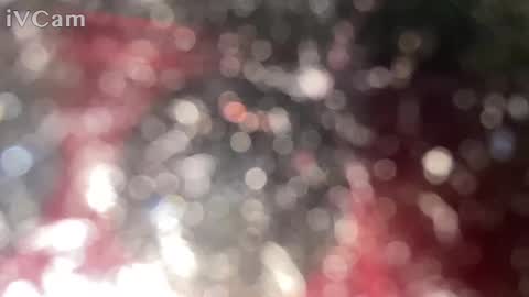 GingerNinja online show from January 2025 10:33:01 PM