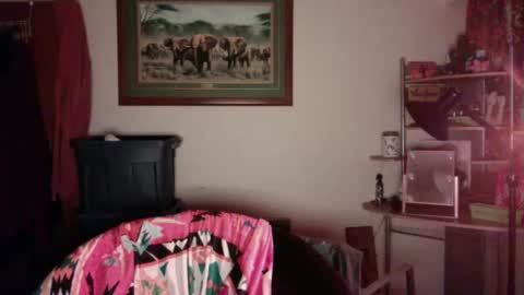 gingerbd92 online show from April 2026 12:30:01 PM