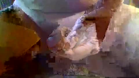 Snapshot of girafsnoop chatting on January 2025 09:22:02 AM girafsnoop online show from January 2025 09:22:02 AM