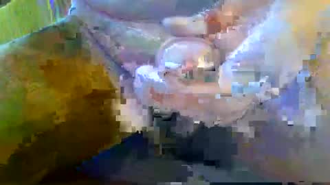 Snapshot of girafsnoop chatting on September 2025 08:09:02 AM girafsnoop online show from September 2025 08:09:02 AM