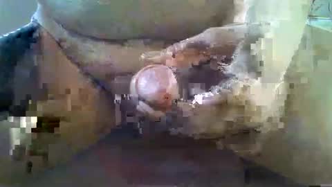 Snapshot of girafsnoop chatting on November 2025 09:08:01 AM girafsnoop online show from November 2025 09:08:01 AM