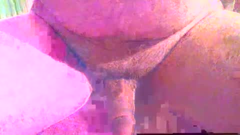 Snapshot of girafsnoop chatting on December 2025 04:01:02 PM girafsnoop online show from December 2025 04:01:02 PM