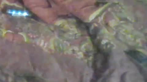 lovegirlscallme online show from January 2026 08:52:01 AM