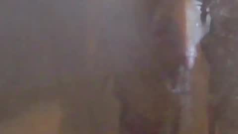 lovegirlscallme online show from March 2026 10:40:01 PM