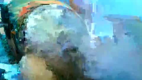gjustaguym online show from May 2026 03:41:02 PM