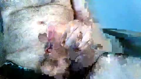 gjustaguym online show from May 2026 07:55:01 PM