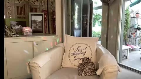 Gl1tter Barbie online show from March 2026 01:04:02 PM