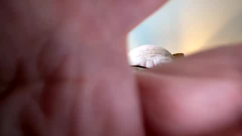 Snapshot of gngnxxx chatting on October 2025 12:02:01 PM gngnxxx online show from October 2025 12:02:01 PM