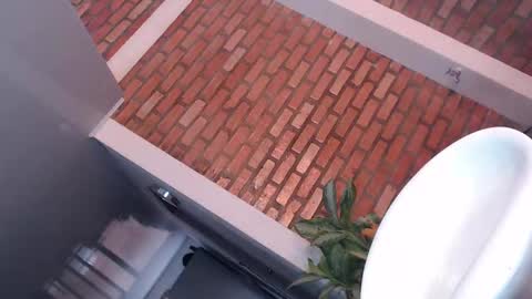 Snapshot of goddesfox chatting on November 2025 06:06:01 PM daniela online show from November 2025 06:06:01 PM