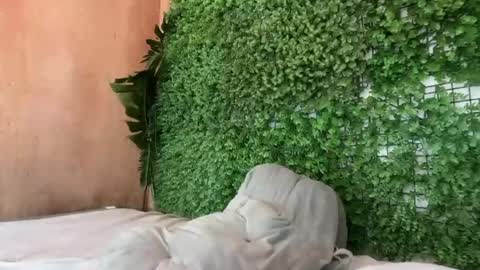 Snapshot of goddess_jennyxx chatting on March 2026 11:32:01 AM goddess_jennyxx online show from March 2026 11:32:01 AM