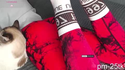 Snapshot of goddessemmmyy chatting on February 2026 01:49:02 PM Goddess EmmaBratt princess online show from February 2026 01:49:02 PM