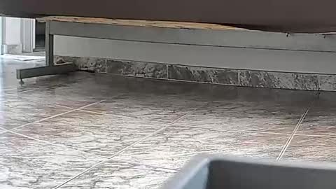 Snapshot of goddesshannahfeet_ chatting on April 2026 04:40:02 PM goddesshannahfeet_ online show from April 2026 04:40:02 PM