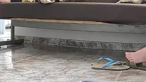 Snapshot of goddesshannahfeet_ chatting on April 2026 04:45:02 PM goddesshannahfeet_ online show from April 2026 04:45:02 PM