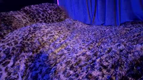 Snapshot of goddessmaenyc chatting on January 2026 11:18:02 PM Goddess Mae NYC online show from January 2026 11:18:02 PM