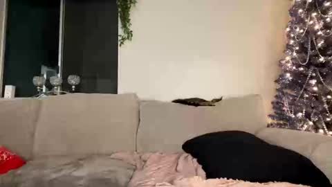 Snapshot of goddessmayvn chatting on December 2024 03:59:02 AM GoddessMayvn online show from December 2024 03:59:02 AM