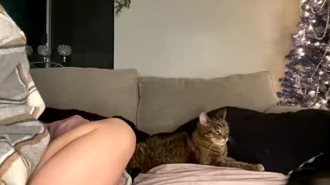 Snapshot of goddessmayvn chatting on December 2024 12:55:02 PM GoddessMayvn online show from December 2024 12:55:02 PM