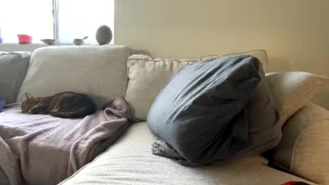 Snapshot of goddessmayvn chatting on February 2025 04:46:01 PM GoddessMayvn online show from February 2025 04:46:01 PM