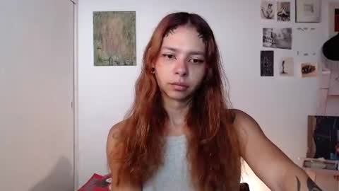 Alaska online show from July 2026 12:00:01 PM