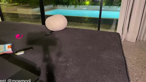 Snapshot of golden_alinee chatting on February 2026 02:04:02 PM Aline meow online show from February 2026 02:04:02 PM