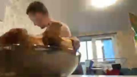 Golden boyyy21 online show from January 2025 11:55:01 AM