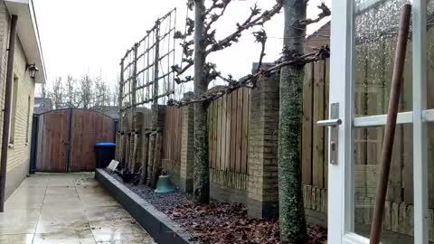   online show from December 2024 12:41:01 PM