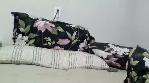 lightskingirl19 online show from April 2026 07:24:02 AM