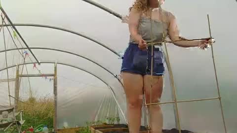 Layla online show from July 2026 02:03:02 PM