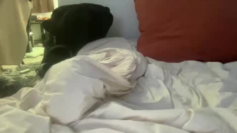 Snapshot of goodparker chatting on October 2025 02:31:02 AM goodparker online show from October 2025 02:31:02 AM