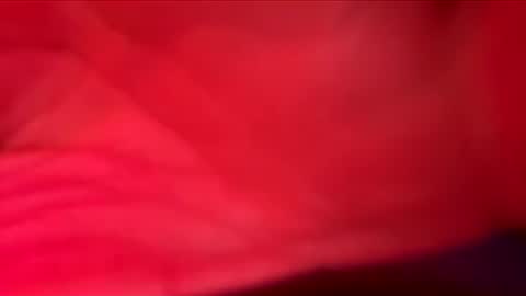 Snapshot of goonerotica006 chatting on May 2026 07:36:01 AM goonerotica006 online show from May 2026 07:36:01 AM
