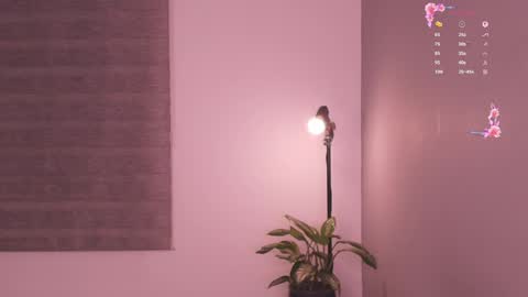 Rose  online show from May 2026 06:31:02 AM