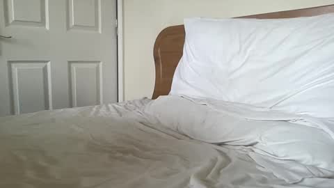 Snapshot of gotenks93 chatting on March 2025 08:35:01 AM Dillan Diamonds online show from March 2025 08:35:01 AM