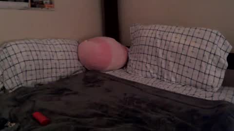 gothbaby305 online show from February 2025 04:05:01 AM