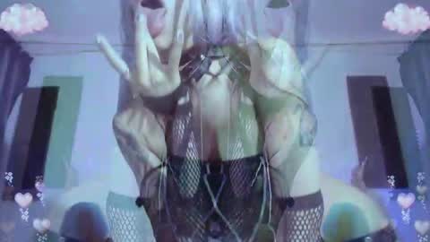        online show from May 2026 04:20:01 AM