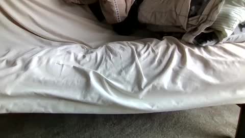 watch me stroke online show from April 2026 12:43:01 PM