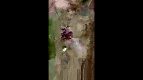 Snapshot of grabisz30 chatting on May 2026 03:29:02 PM grabisz30 online show from May 2026 03:29:02 PM