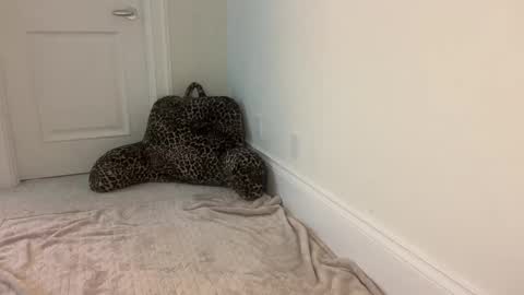 Snapshot of graceyrose chatting on September 2025 06:19:02 PM graceyrose online show from September 2025 06:19:02 PM