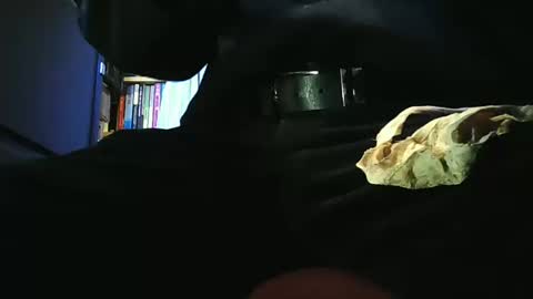 grapefruit online show from March 2026 09:48:02 AM