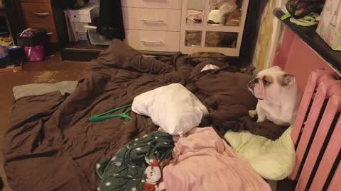 graylovescookies online show from December 2024 03:03:01 PM