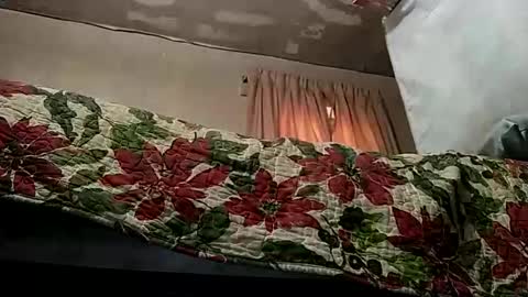 Snapshot of great_shaft84 chatting on November 2025 05:11:01 PM DaGreat online show from November 2025 05:11:01 PM