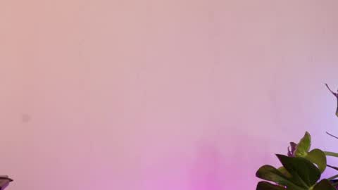 Snapshot of grecia____ chatting on February 2026 05:23:02 PM grecia____ online show from February 2026 05:23:02 PM