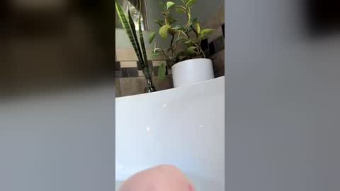 Snapshot of greenrooster1 chatting on July 2026 07:07:01 PM greenrooster1 online show from July 2026 07:07:01 PM