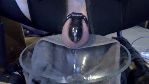 electrogee1 online show from February 2026 11:47:02 PM