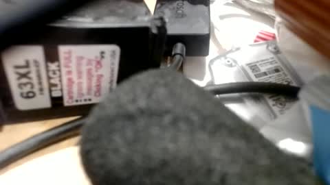 Greg online show from June 2026 10:55:01 PM