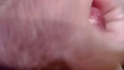 Greg online show from July 2026 10:31:02 PM