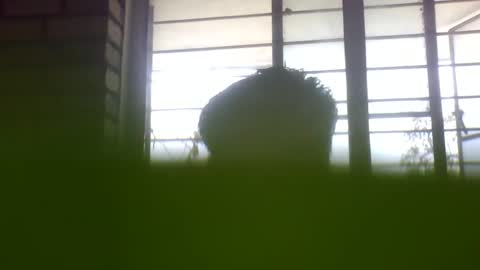 Snapshot of grey_stud chatting on February 2025 05:22:01 AM Grey Stud online show from February 2025 05:22:01 AM