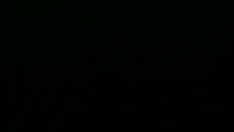 Snapshot of greyfox_6000 chatting on February 2025 04:21:01 PM greyfox_6000 online show from February 2025 04:21:01 PM