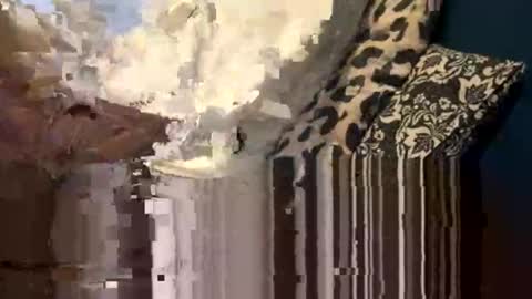 greymen2020 online show from February 2026 06:04:02 PM