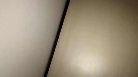 Snapshot of greyvan96 chatting on February 2025 10:18:02 AM Perfectlyaveragesavage online show from February 2025 10:18:02 AM