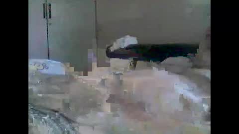 grittslappa online show from September 2025 12:23:02 AM