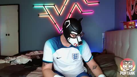 Snapshot of growingcub94 chatting on November 2025 07:16:02 PM Alpha pup online show from November 2025 07:16:02 PM